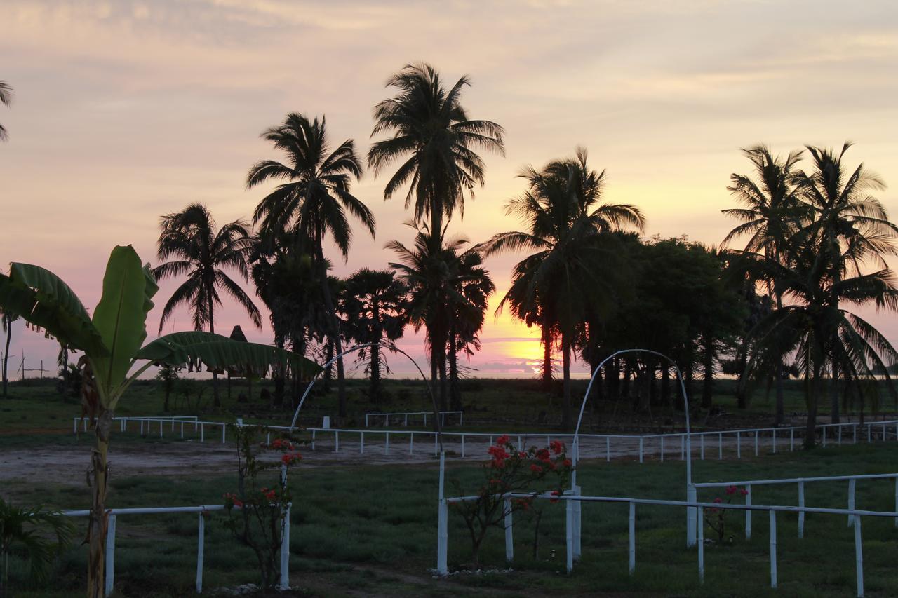 Wera Beach Kadumbul Exterior photo